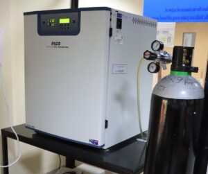CO2 Incubator